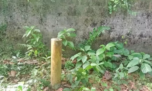 സിൽവർ ലൈൻ മഞ്ഞക്കുറ്റികൾ ‘നെഞ്ചിലെ’ തീയായിരുന്നു; ആശ്വാസമായി പ്രഖ്യാപനം