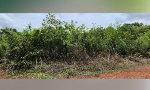 ഭക്ഷ്യസംഭരണശാലക്കിട്ട ശില കാടുകയറി; പരിഗണിക്കുമോ പുതിയ സർക്കാർ?