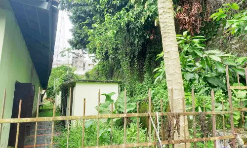 അപകടനിലയിൽ മതിൽക്കെട്ട്; എൽ.പി സ്കൂളിന് ഭീഷണി