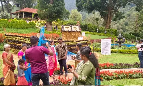ഒമ്പത് ടൺ പഴങ്ങളിൽ വിരിഞ്ഞ അത്ഭുതക്കാഴ്ചകൾ; കാട്ടേരി പാർക്കിലേക്ക് സഞ്ചാരികളുടെ ഒഴുക്ക്