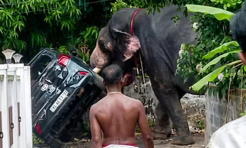 നഗരത്തിൽ ആന ഇടഞ്ഞോടി: അന്വേഷണത്തിന് ഉത്തരവിട്ട് ജില്ല ഭരണകൂടം, തൃശൂർ ഡി.എഫ്.ഒക്കും സോഷ്യൽ ഫോറസ്ട്രിക്കുമാണ് നിർദേശം നൽകിയത്