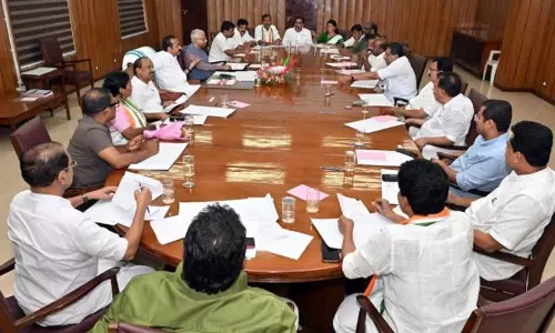 UDF Government