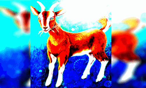 റാവുത്തറും കമലുവും