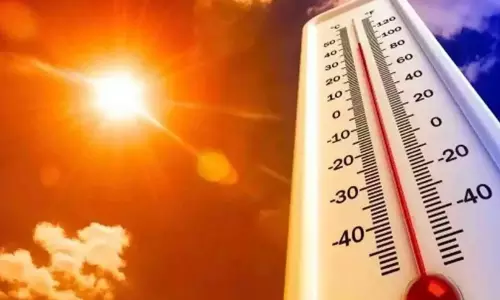 ചൂട് താങ്ങാനാവാതെ തെലങ്കാന; ഉഷ്ണതരംഗത്തിൽ 16 മരണം, സംസ്ഥാനത്ത് അതീവ ജാഗ്രത
