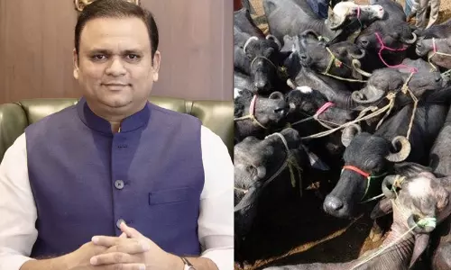 Maharashtra Assembly Speaker Rahul Narvekar