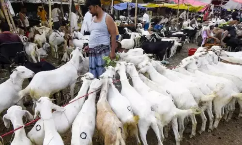 പെരുന്നാൾ ആഘോഷത്തിന് ആടുകളെ എത്തിച്ചെന്ന്; മുംബൈ മീര റോഡിൽ സംഘർഷം