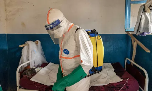 Ebola virus