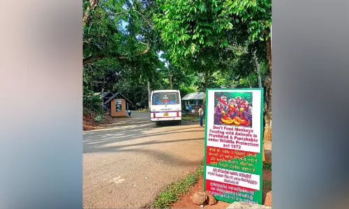 കുരങ്ങിന് തീറ്റ കൊടുത്താൽ പണി കിട്ടും; വനം വകുപ്പ് നടപടി തുടങ്ങി
