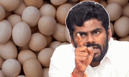 സ്കൂൾ ഉച്ചഭക്ഷണ പദ്ധതി: തമിഴ്‌നാട്ടിൽ 20 കോടി മുട്ടകൾ പൂഴ്ത്തിവെച്ചതായി ആരോപണം
