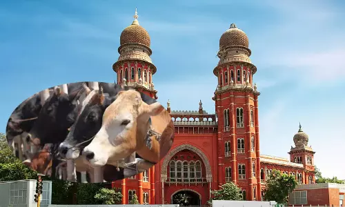 തമിഴ്നാട്ടിൽ ഗോവധം പൂർണമായി നിരോധിച്ച് മദ്രാസ് ഹൈകോടതി