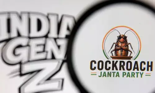 അല്പം കുറ്റകരമാണ് സമഗ്രമായ പരിഗണന വേണം;   എക്സ് അക്കൗണ്ട് ഉടൻ പുനസ്ഥാപിക്കാൻ കഴിയില്ലെന്ന് ഡൽഹി ഹൈക്കോടതി -കോക്രോച്ച് ജനതാ പാർട്ടിക്ക് തിരിച്ചടി