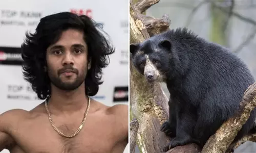 കാനഡയിൽ കരടിയുടെ ആക്രമണത്തിൽ മലയാളി കൊല്ലപ്പെട്ടു