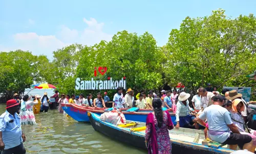 സാമ്പ്രാണിക്കോടിയിലെ കണ്ടൽക്കാടുകളിലൂടെ... സാമ്പ്രാണിക്കോടിയിലെ കണ്ടൽക്കാടുകളിലൂടെ...