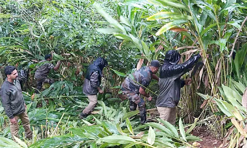 ചിന്നക്കനാലിൽ കോടികൾ വിലമതിക്കുന്ന വനംഭൂമി കയ്യേറ്റം ഒഴിപ്പിച്ചു ചിന്നക്കനാലിൽ കോടികൾ വിലമതിക്കുന്ന വനംഭൂമി കയ്യേറ്റം ഒഴിപ്പിച്ചു