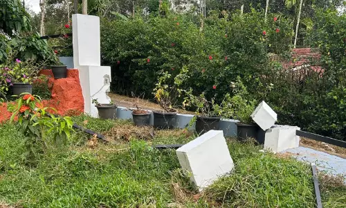 കാട്ടാന, പന്നി, മയിൽ, മാൻ...പൊറുതിമുട്ടി മൂഴിമല നിവാസികൾ