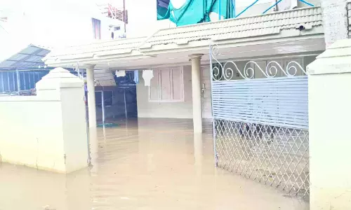 കനത്ത മഴയിൽ മരടിൽ പരക്കെ വെള്ളം കയറി