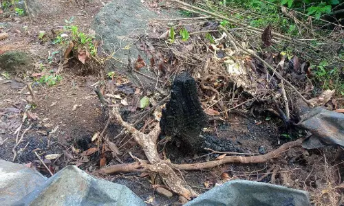 ആദിവാസി ഭൂമി വ്യാപകമായി തട്ടിയെടുക്കുന്നു; പിന്നിൽ വൻകിട ഭൂമാഫിയ