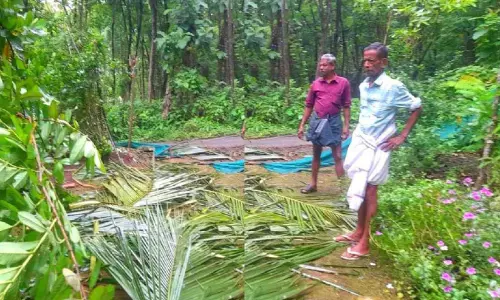 കാട്ടാന ആക്രമണം: നടുങ്ങി മലയോര മേഖല
