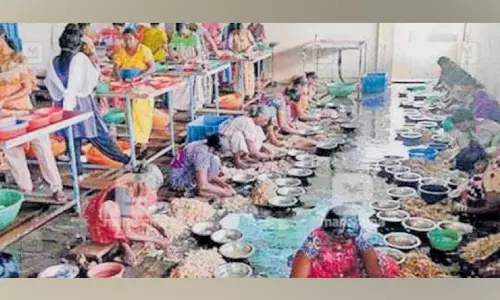 കൂലി വർധിപ്പിക്കുന്നില്ല; ചെമ്മീൻ പീലിങ് തൊഴിലാളികൾ പ്രതിഷേധത്തിലേക്ക്