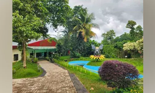 മധുരമൂറുന്ന കല്ലിമേലെ തേനീച്ച പാര്‍ക്ക്