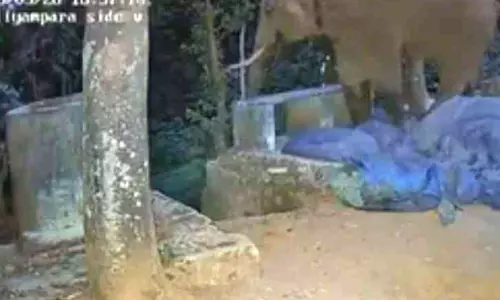 നിർമിത ബുദ്ധി സഹായത്തോടെ പ്രവർത്തിക്കുന്ന വന്യമൃഗ നിരീക്ഷണ കേന്ദ്രം പരാജയം നിർമിത ബുദ്ധി സഹായത്തോടെ പ്രവർത്തിക്കുന്ന വന്യമൃഗ നിരീക്ഷണ കേന്ദ്രം പരാജയം