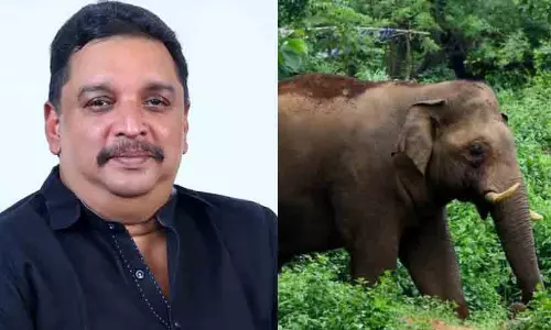 കാട്ടാനക്കെന്ത് വനം മന്ത്രി; ഷിബു ബേബി ജോണിന്റെ മന്ത്രിയുടെ വാഹനത്തിന് മുന്നിൽ കാട്ടാന