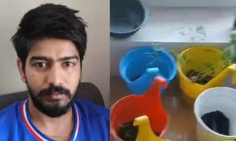 വിശാൽ എന്ന നല്ലവനായ ഉണ്ണി; ഫ്ലാറ്റിൽ കഞ്ചാവ് വളർത്തിയ ഐ.ടി കമ്പനി മാനേജർ പിടിയിൽ വിശാൽ എന്ന നല്ലവനായ ഉണ്ണി; ഫ്ലാറ്റിൽ കഞ്ചാവ് വളർത്തിയ ഐ.ടി കമ്പനി മാനേജർ പിടിയിൽ