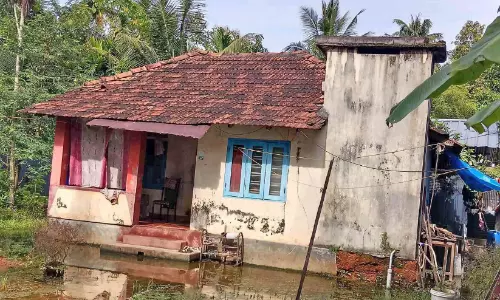പാമ്പുകടിയേറ്റ് മരിച്ച കുട്ടിയുടെ ചികിത്സ ചെലവിന്റെ ബാധ്യത താങ്ങാനാവാതെ കുടുംബം