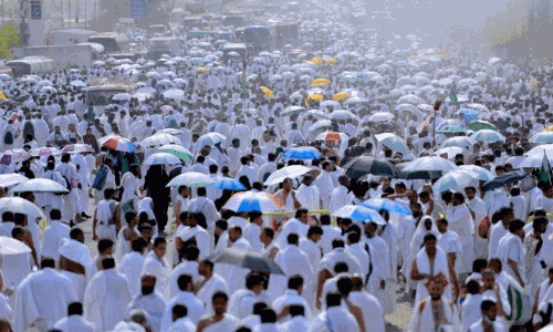 ഹജ്ജ് തീർഥാടകർക്ക് മികച്ച ആരോഗ്യ സുരക്ഷ; സൗദി അറേബ്യക്ക് ലോകാരോഗ്യ സംഘടനയുടെ പ്രശംസ