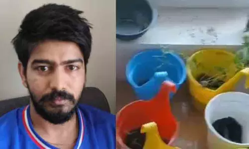 വിശാൽ എന്ന നല്ലവനായ ഉണ്ണി; ഫ്ലാറ്റിൽ കഞ്ചാവ് വളർത്തിയ ഐ.ടി കമ്പനി മാനേജർ പിടിയിൽ വിശാൽ എന്ന നല്ലവനായ ഉണ്ണി; ഫ്ലാറ്റിൽ കഞ്ചാവ് വളർത്തിയ ഐ.ടി കമ്പനി മാനേജർ പിടിയിൽ