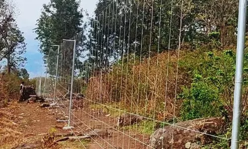 ചേലക്കര മണ്ഡലം; വനാതിർത്തിയിൽ സൗരവേലി സ്ഥാപിക്കാൻ എം.എൽ.എ ഫണ്ടിൽനിന്ന് 40 ലക്ഷം