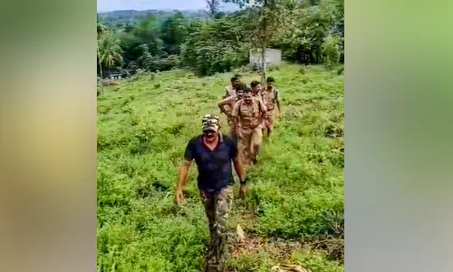 അതിരപ്പിള്ളിയിലെ കാട്ടാന ശല്യം; പ്രത്യേക ദൗത്യം ആരംഭിച്ചു