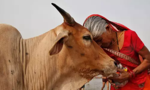 കാപട്യം വെടിയൂ, ഗോവധ നിരോധനം പ്രഖ്യാപിക്കൂ...