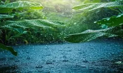 കാലവർഷം: വടക്കൻ ജില്ലകളിൽ ഓറഞ്ച് അലർട്ടും തെക്കൻ ജില്ലകളിൽ യെല്ലോ അലർട്ടും
