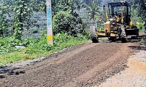 റോഡിലെ മണ്ണ് നീക്കാനും പുല്ല്​ വെട്ടാനും 21 ലക്ഷം; തൃക്കാക്കര നഗരസഭ പൊതുമരാമത്തിൽ പകൽക്കൊള്ള