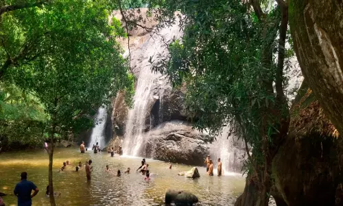ആ​ന​യാ​ടി​കു​ത്തി​ലേ​ക്ക്​ സ​ഞ്ചാ​രി​ക​ളൊ​ഴു​കു​ന്നു​; അ​ടി​സ്ഥാ​ന സൗ​ക​ര്യ​ങ്ങ​ളു​ടെ അ​ഭാ​വം വെ​ല്ലു​വി​ളി