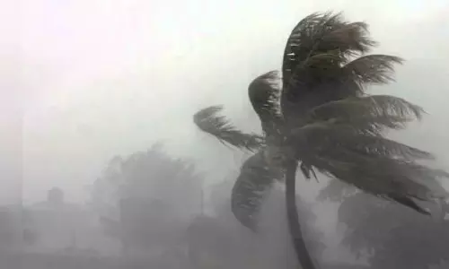 ശക്തമായ കാറ്റിന് സാധ്യത; മുന്നറിയിപ്പുമായി കാലാവസ്ഥ വകുപ്പ്