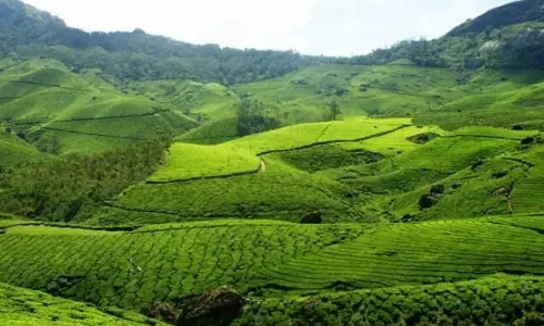 മൂ​ന്നാ​റി​ൽ സ​ഞ്ചാ​രി​ക​ൾ​ക്ക്​ ആ​ഗ​സ്റ്റ്​ മു​ത​ൽ ഹ​രി​ത സെ​സ്​