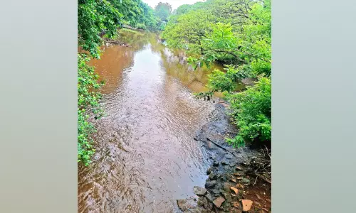സംരക്ഷണമില്ല; മാള ചാലിന് മരണമണി