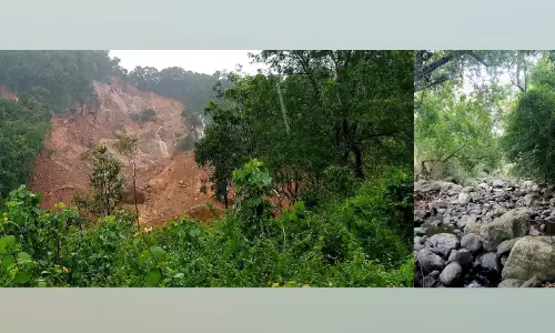 ഉരുളെടുത്തിട്ട് പതിറ്റാണ്ട്; വീണ്ടെടുക്കണം കുറിച്ച്യർമലയുടെ ജൈവസമ്പത്ത്