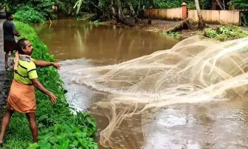 ശൂലാപ്പ് കാവിലേക്ക് പോകാൻ എവിടെ അഴകനും പൂവാലിയും?