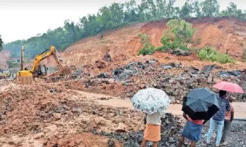ദേശീയപാത വിഴുങ്ങിയ മല വനമായി പുനർജനിക്കുന്നു