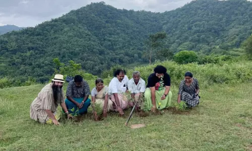 മരുഭൂമിയിൽ വേരൂന്നി പടർന്നുപന്തലിക്കുന്ന ‘ഫോറെസ്റ്റിഫിക്കേഷൻ’