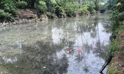 മാലിന്യവാഹിനിയായി ചന്തിരൂർ പുത്തൻതോട്