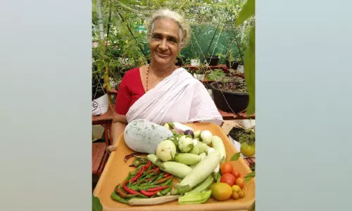 ‘ഓണത്തിനൊരുമുറം പച്ചക്കറി’; ആശയത്തിനും പദ്ധതിക്കും പത്താം പിറന്നാൾ