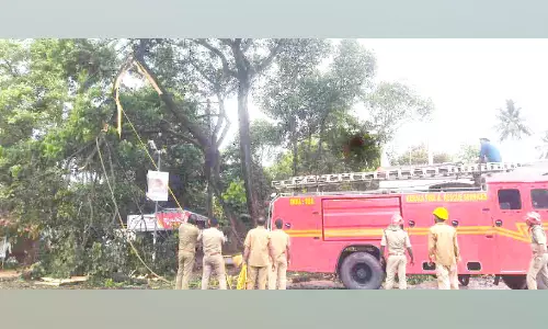 മരം വീണു; കല്ലമ്പലം ദേശീയപാതയിൽ ഗതാഗതം തടസ്സപ്പെട്ടു