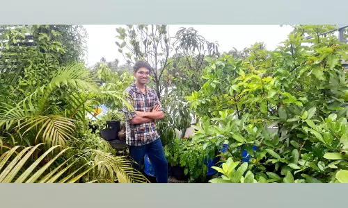 അലൈന്റെ വീടിന് മുകളിൽ വൃക്ഷങ്ങളുടെ പച്ചപ്പ്