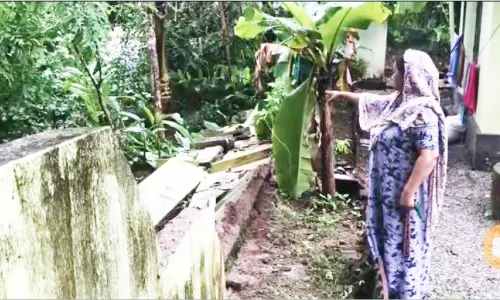 കുളത്തൂപ്പുഴയിൽ കാട്ടാനക്കൂട്ടം ജനവാസമേഖലയിൽ; പ്രദേശവാസികൾ ഭീതിയിൽ