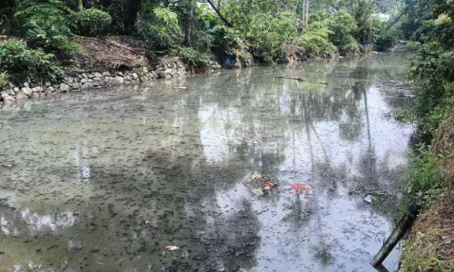 മാലിന്യവാഹിനിയായി ചന്തിരൂർ പുത്തൻതോട്