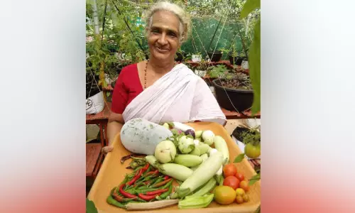 ഓണത്തിനൊരുമുറം പച്ചക്കറി’; ആശയത്തിനും പദ്ധതിക്കും പത്താം പിറന്നാൾ